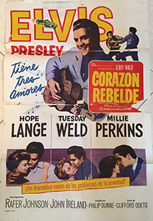 WILD SPAIN POSTER
