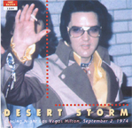 DESERT STORM